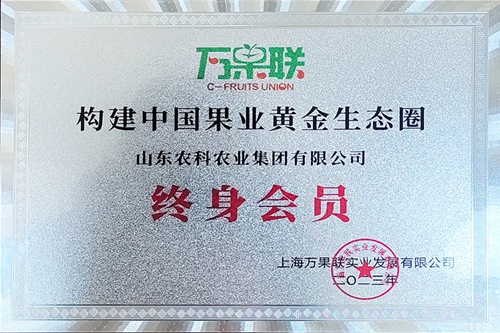 ������Ա