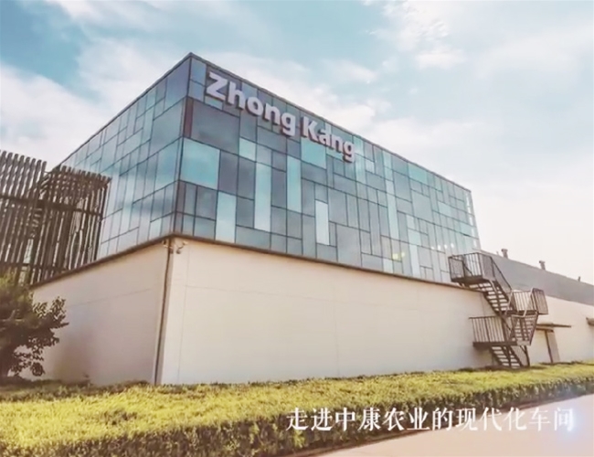 �ǹ��ɶԹ���-׷�󽡿�,����һ��ɳ������߽��п�ũҵ���ݷ�ʳ�����н���