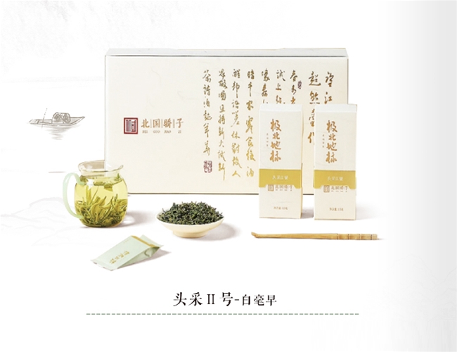 ͷ�ɢ��-�׺���