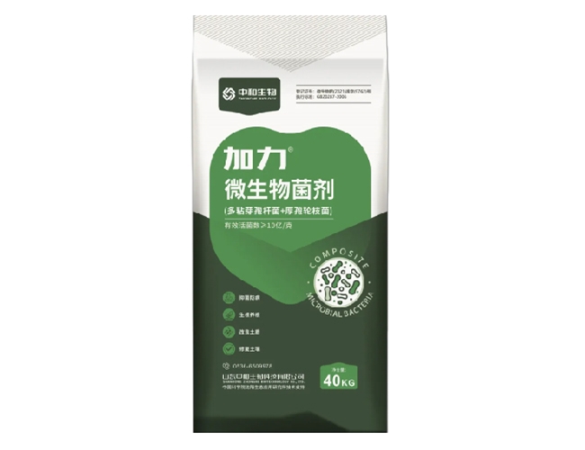 ����-10��΢�������