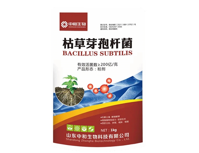 �ݲ�ѿ�߸˾�